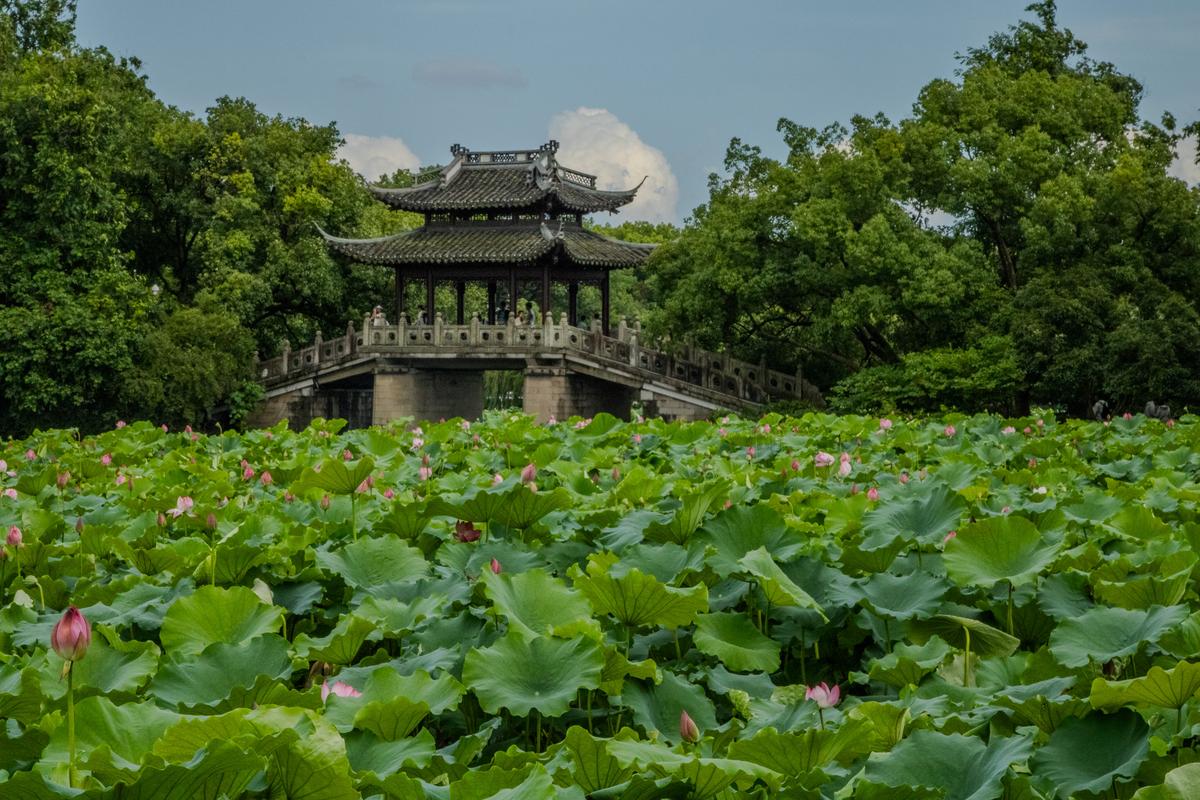 lotus pavilion